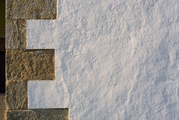 A white wall featuring a black and white cat sitting against a backdrop of decorative concrete.