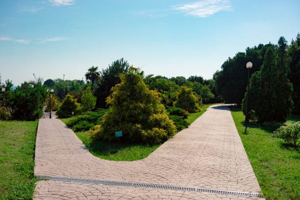 A serene park walkway lined with trees and grass, featuring a beautifully designed stamped concrete driveway.