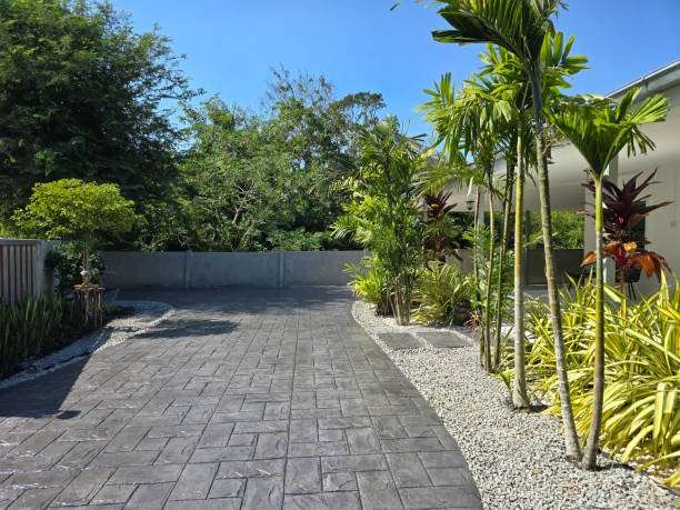 A driveway featuring stamped concrete, bordered by lush plants and trees in front of a residential house.