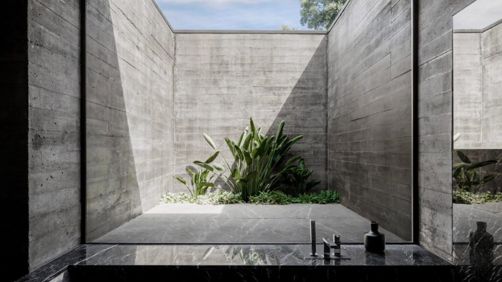 A modern bathroom featuring a concrete wall and a green plant, creating a minimalist and natural atmosphere.